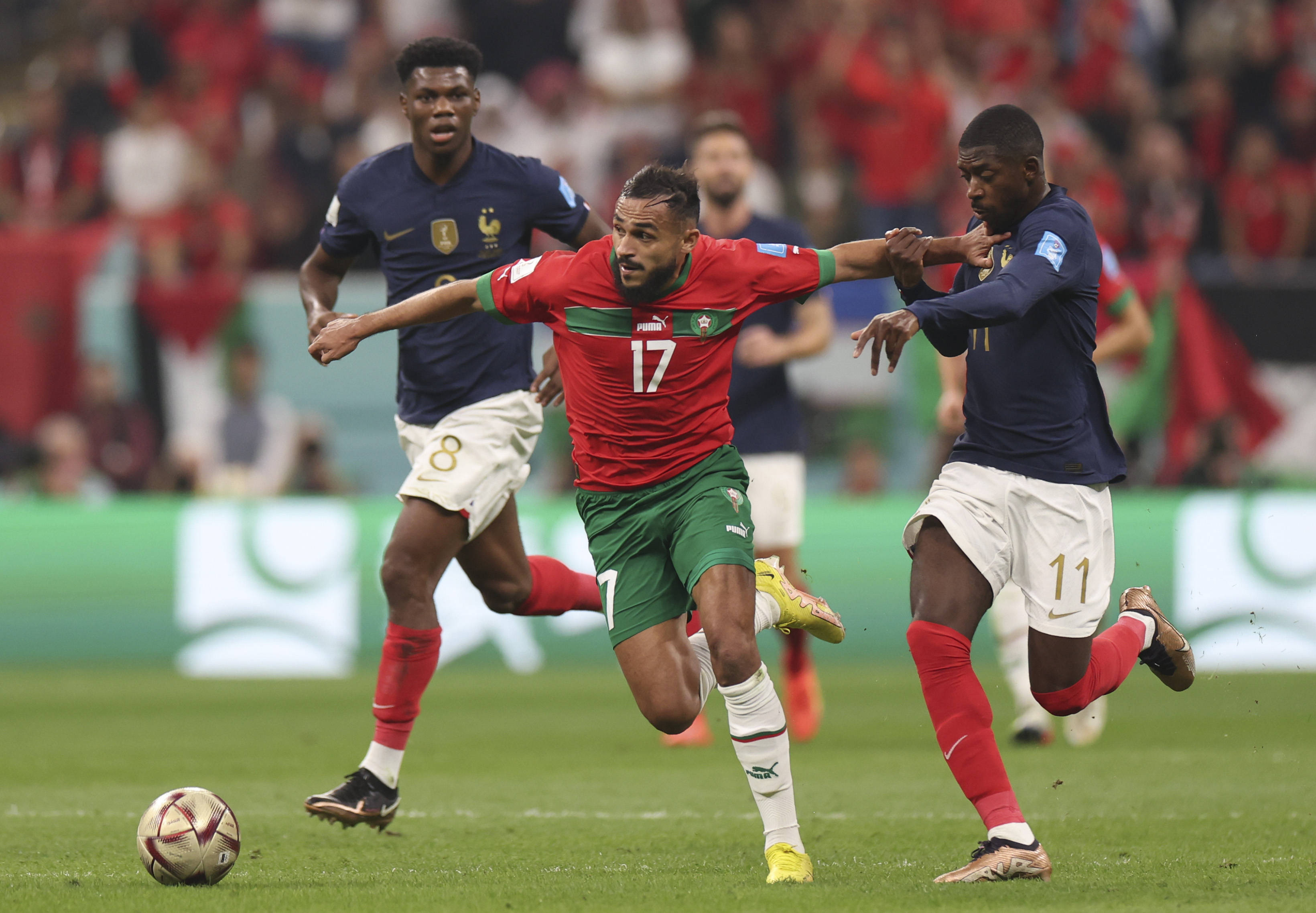 年世界杯冠 年世界杯冠